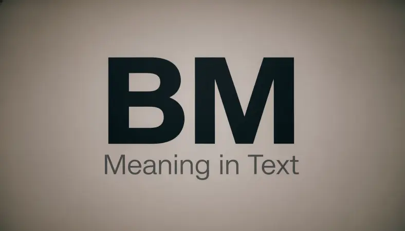 bm meaning in text