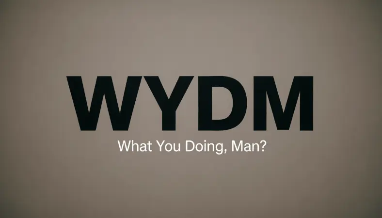 wydm meaning in text